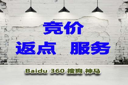 抖音信息流代理在电商行业的应用案例分析